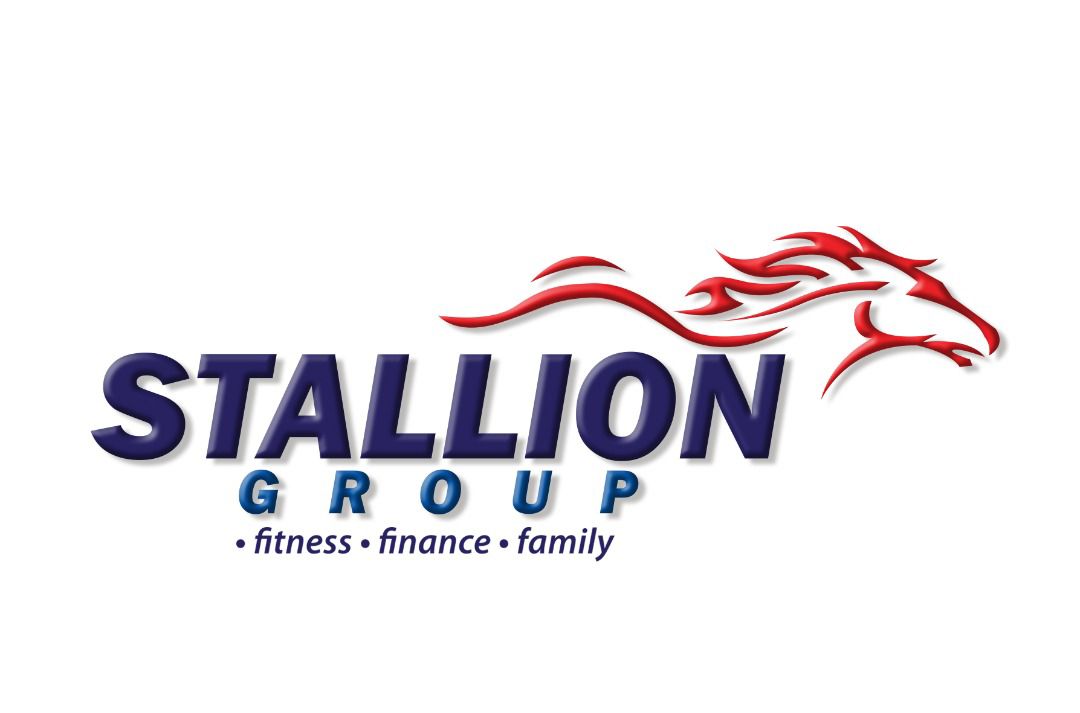 STALLION CONSULTANCY company logo