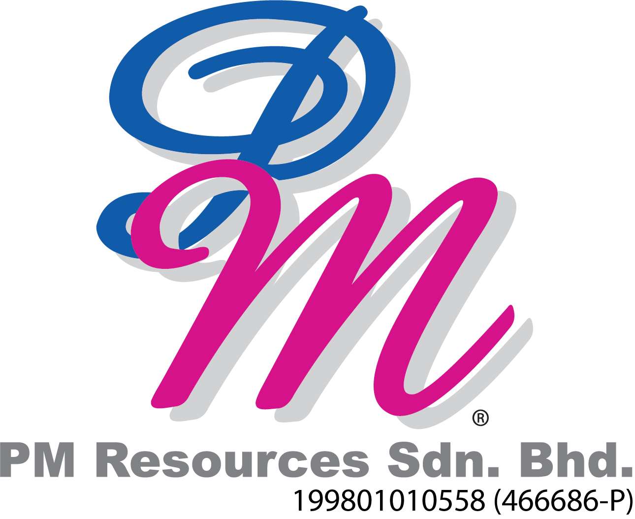 PM Resources  company logo