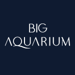 company-logo-image