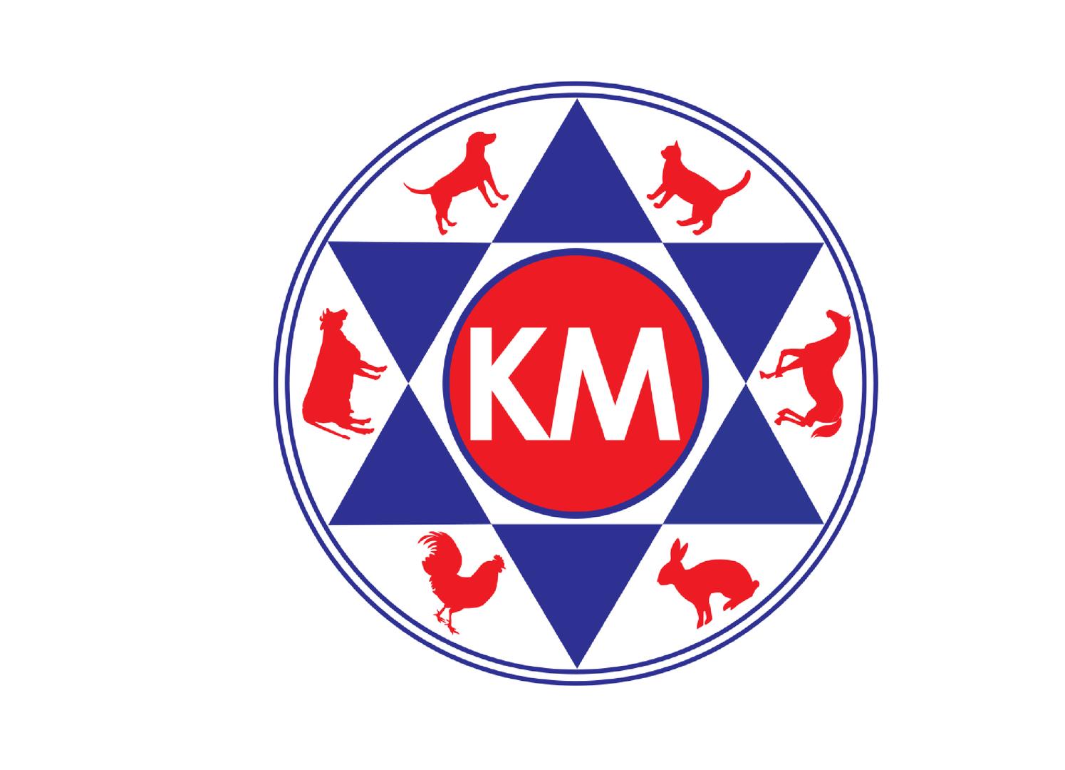 company-logo-image