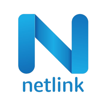 Netlink Software Group America-logo-image