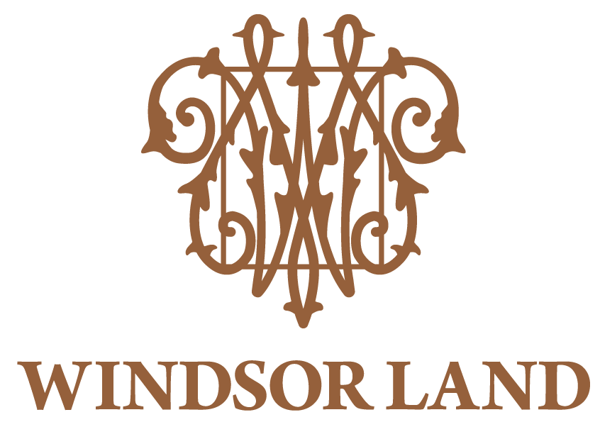 company-logo-image