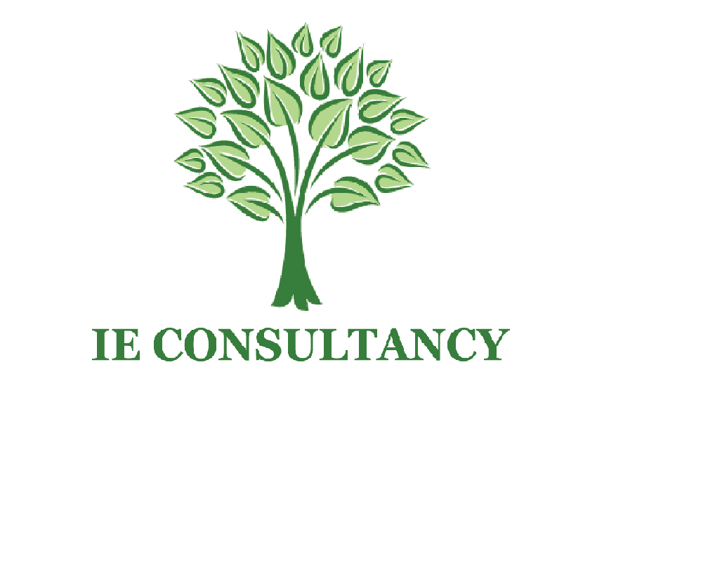 IE Consultancy-logo-image