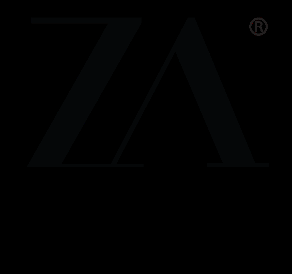 company-logo-image