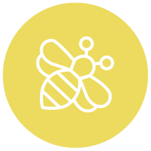 jobs in BeesyKids PLT