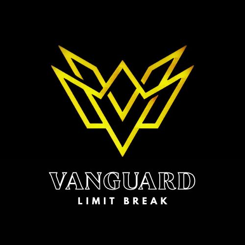 VANGUARD FT SDN. BHD.  company logo