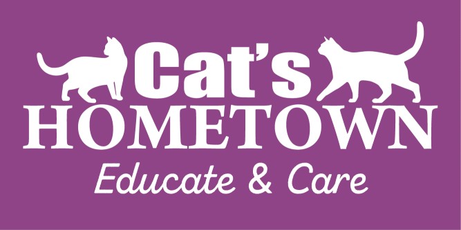 company-logo-image