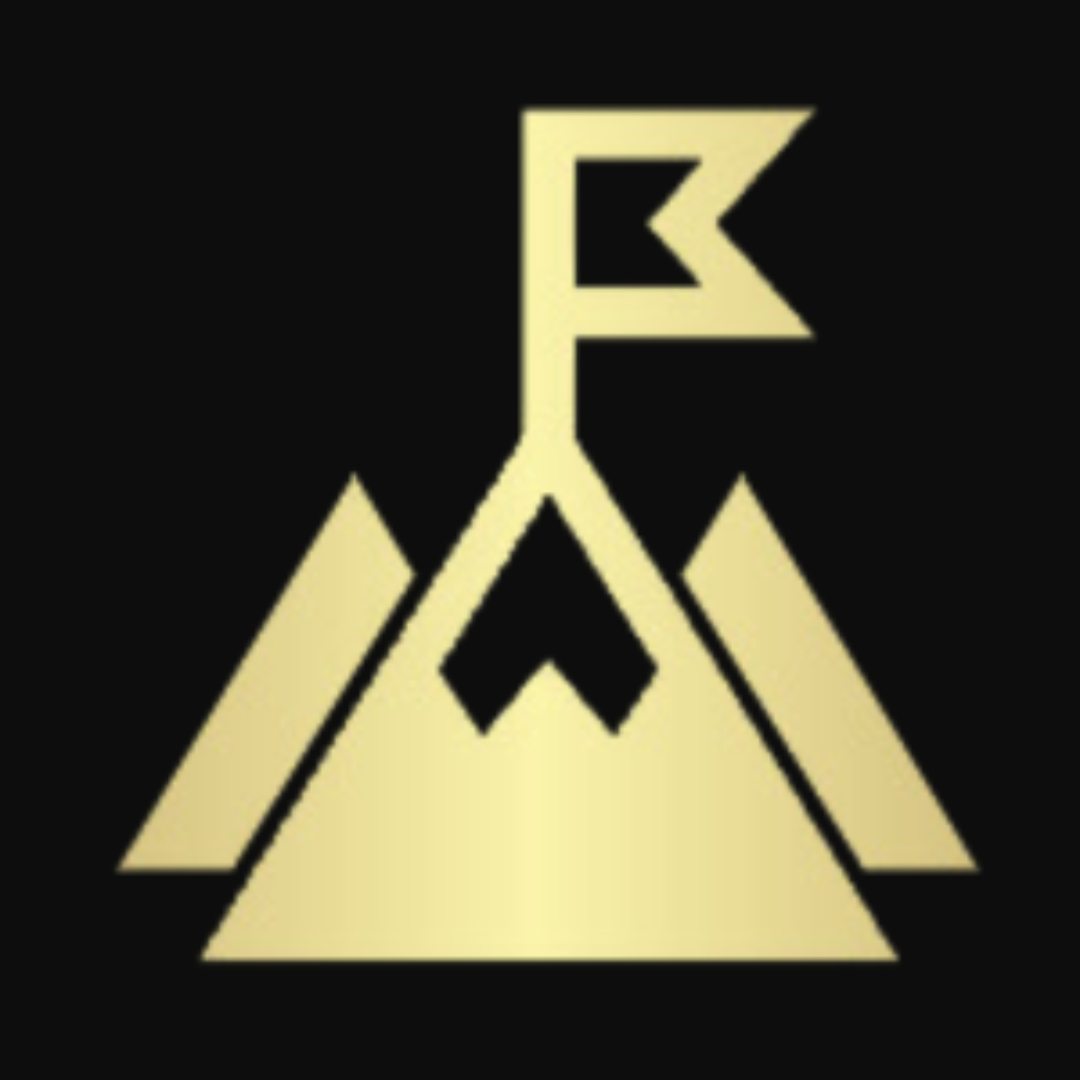 PeakConversion - Ecommerce Marketing Agency company logo