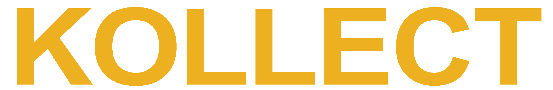 company-logo-image