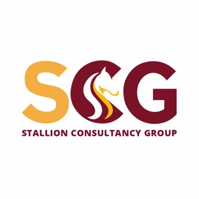 STALLION CONSULTANCY GROUP company logo