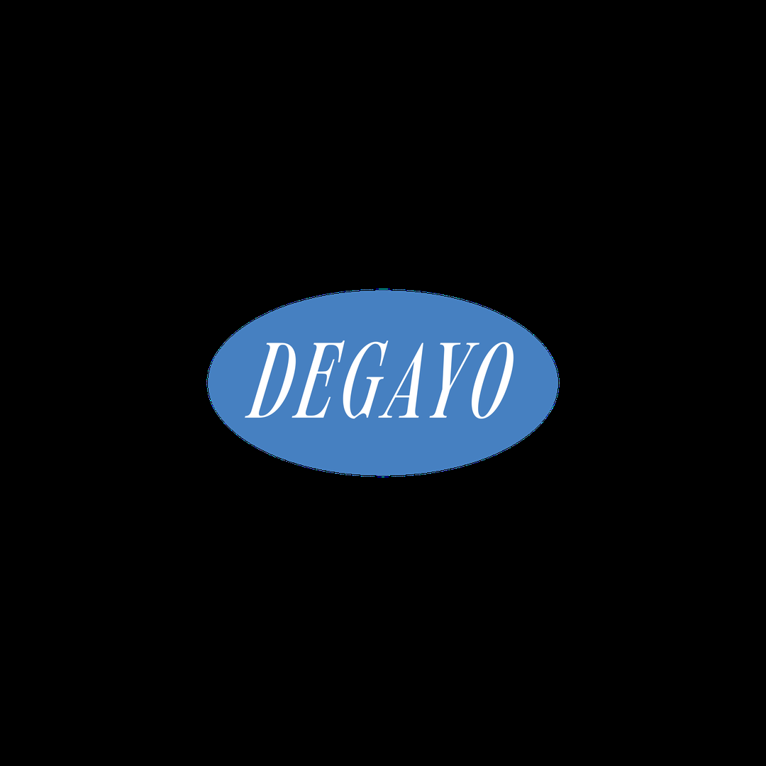 company-logo-image