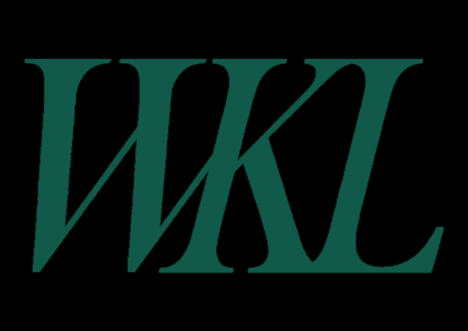 company-logo-image