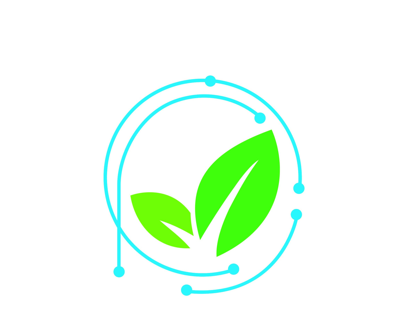 company-logo-image