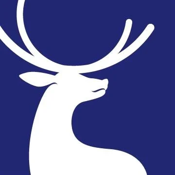 company-logo-image