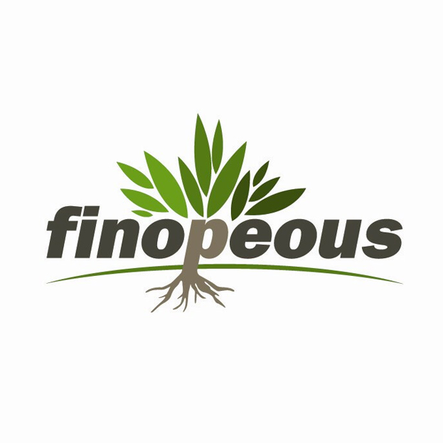 company-logo-image