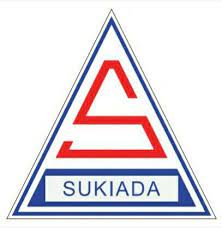 company-logo-image