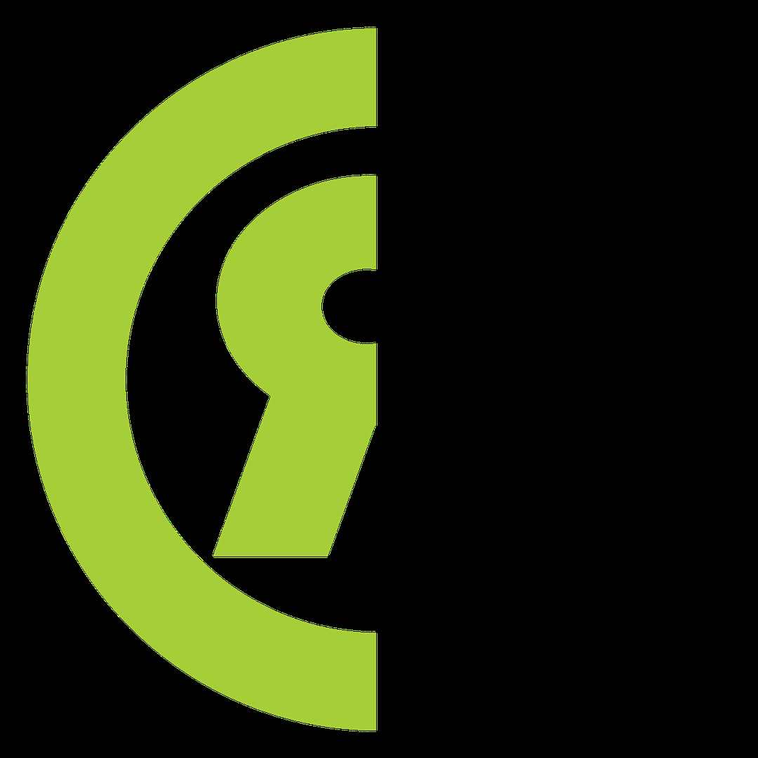 RADICAL INTERNETWORK SDN BHD company logo