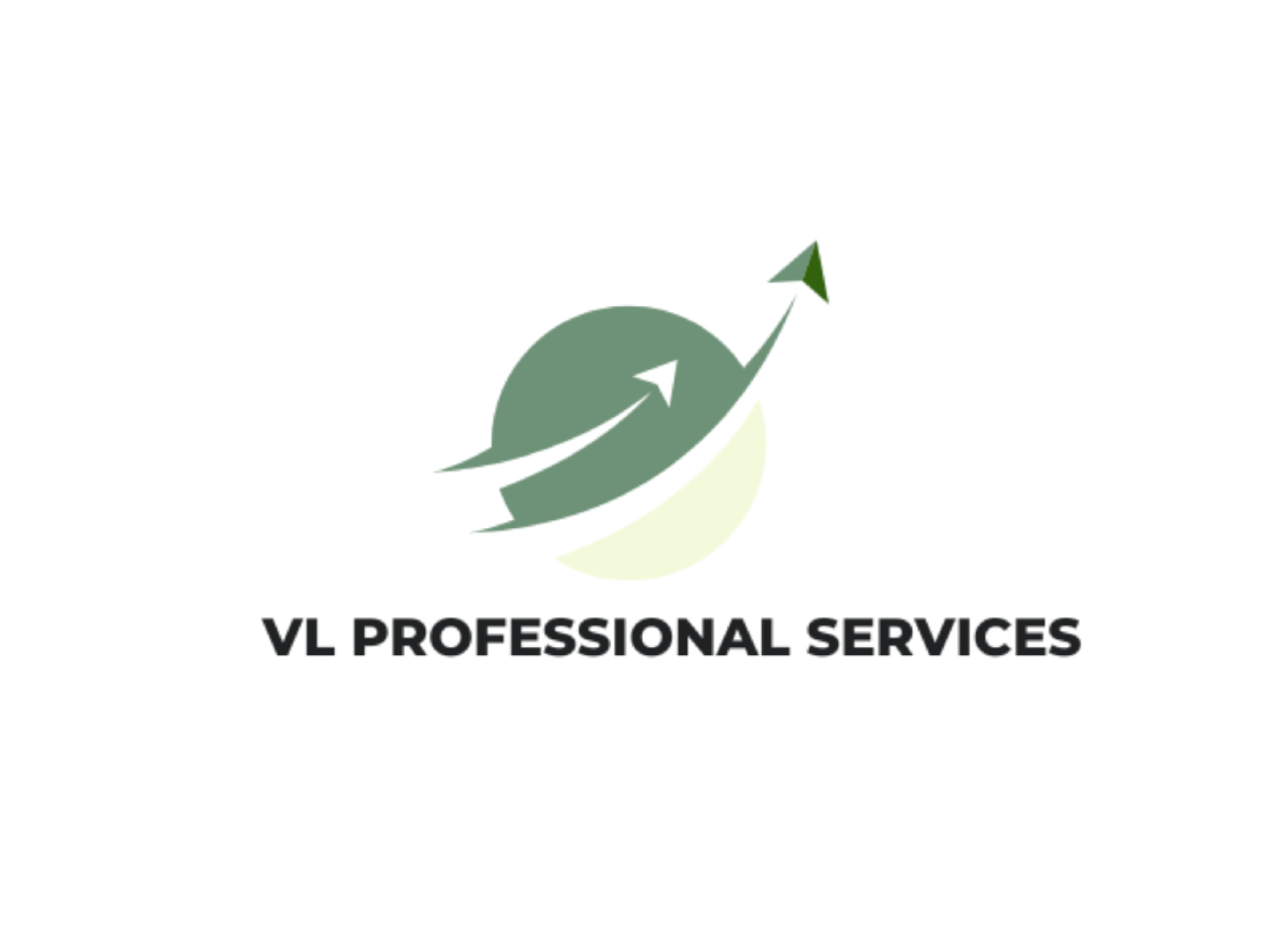 VL PROFESSIONAL SERVICES SDN. BHD. company logo