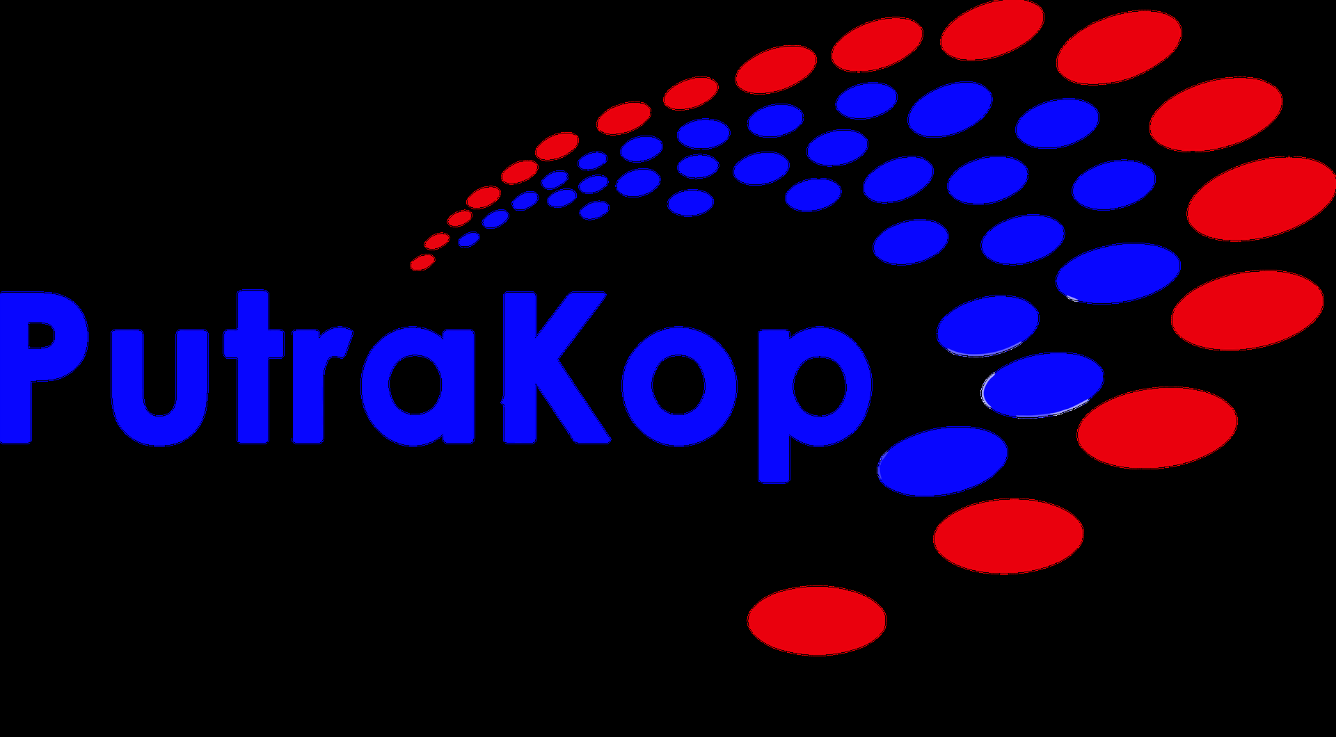 company-logo-image