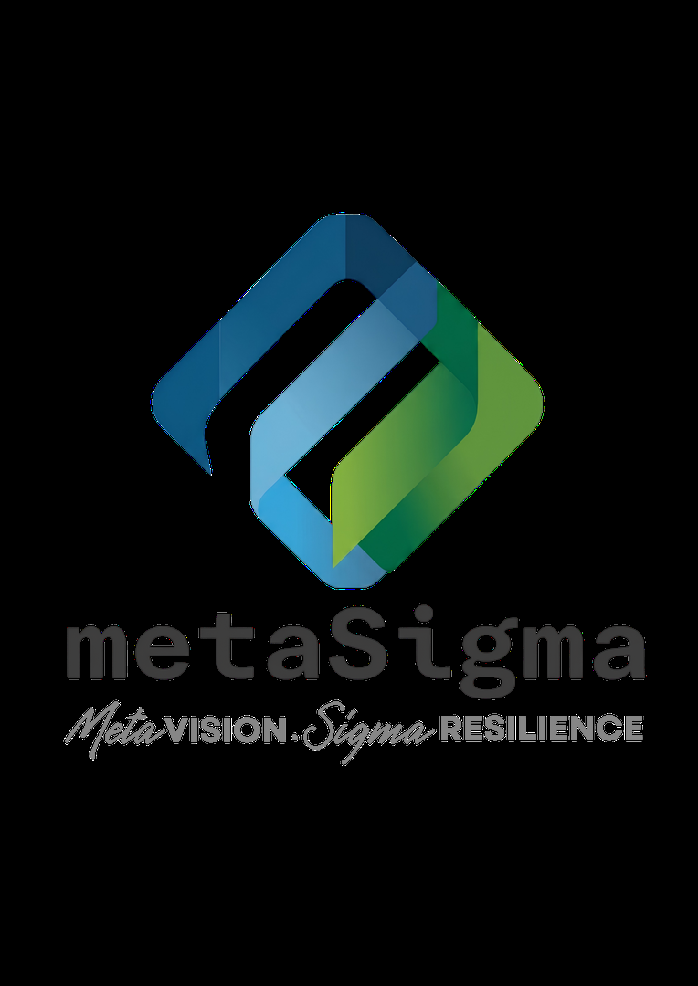 jobs in Metasigma