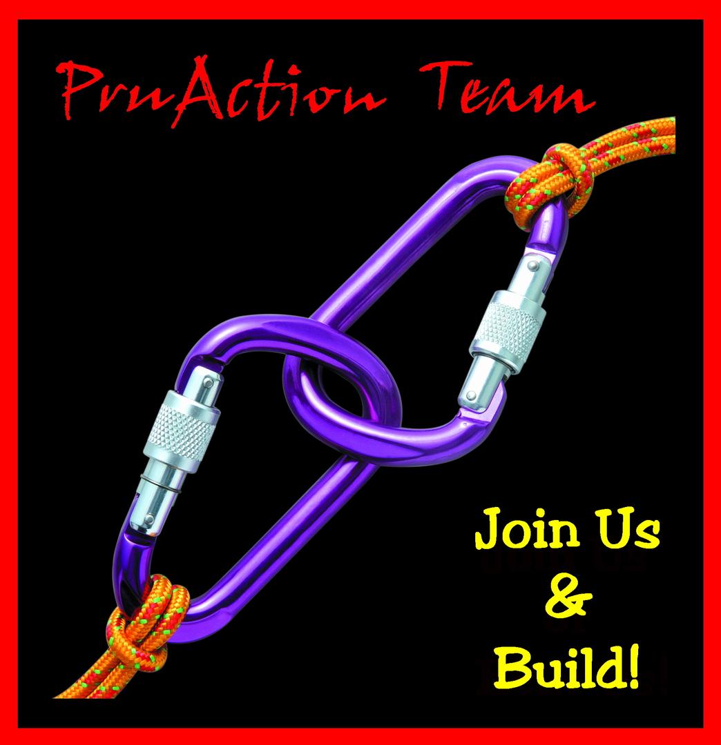 PruAction Team (M) Sdn. Bhd. company logo