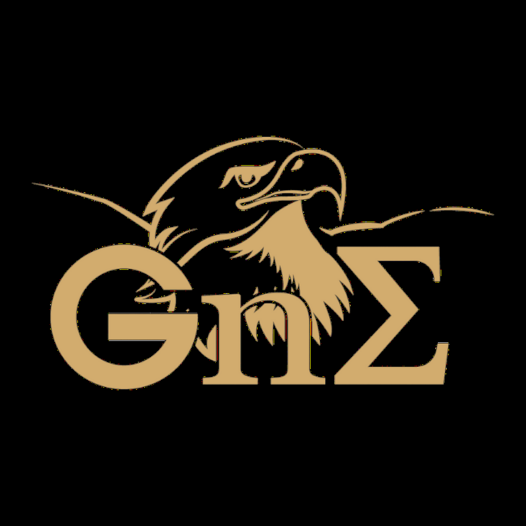 company-logo-image
