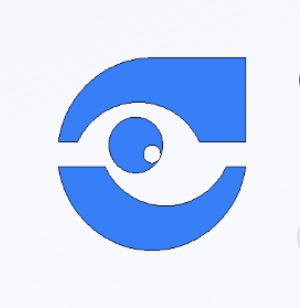 company-logo-image