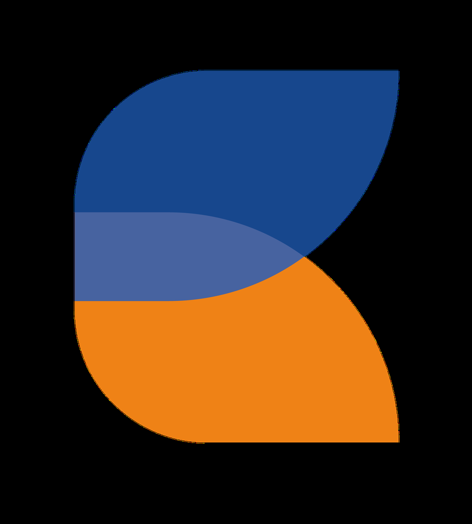 Balaena Quant company logo