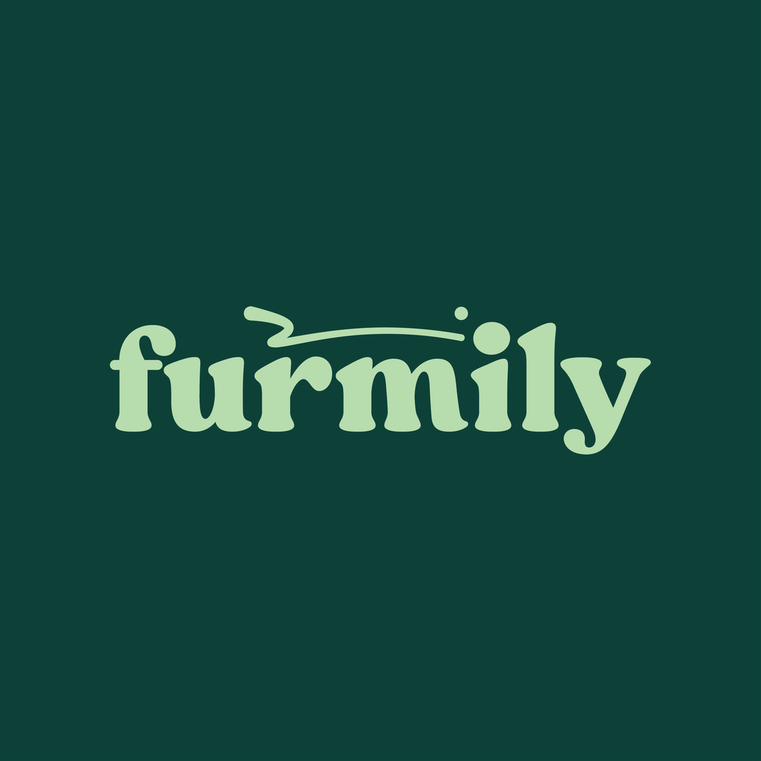 company-logo-image