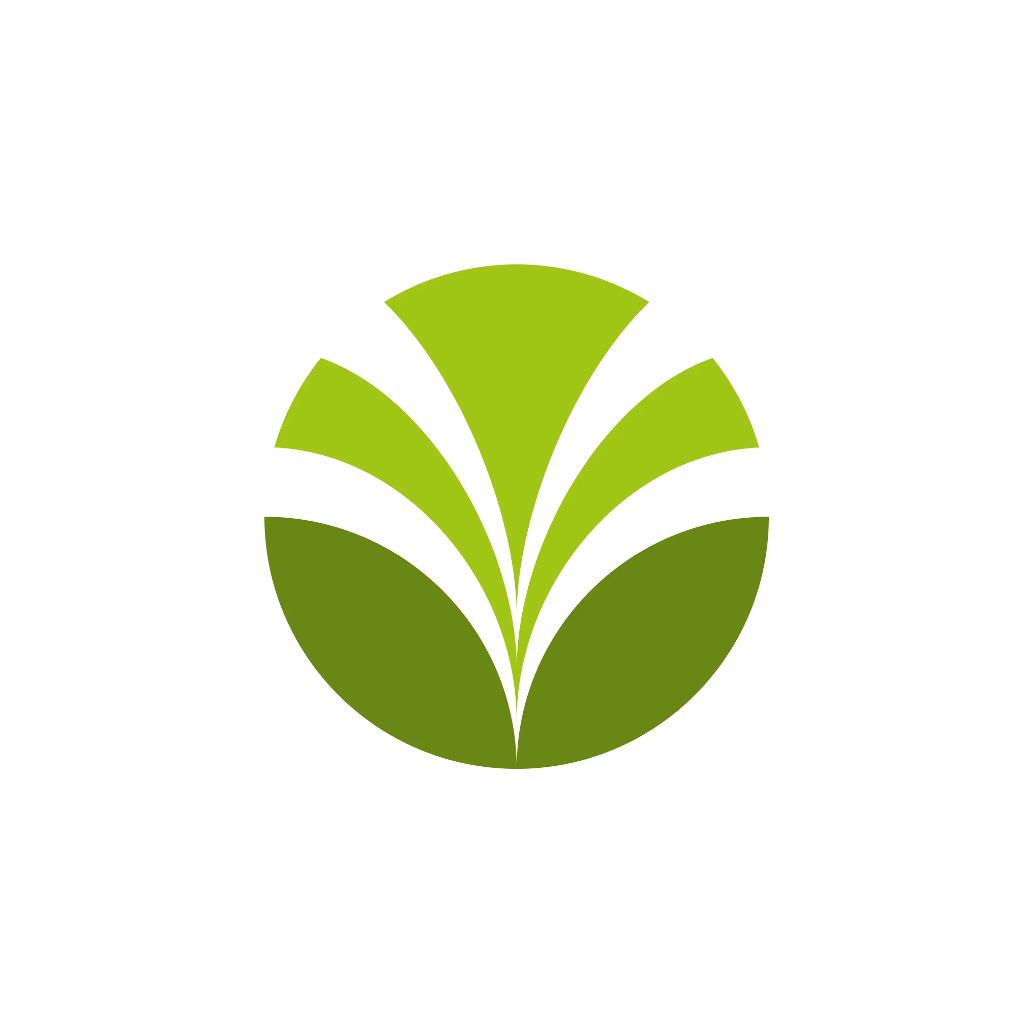 Olam company logo