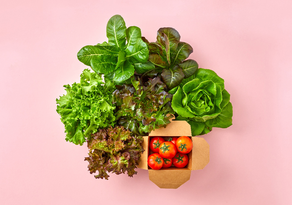 Working at Cultiveat Company Profile & Information Hiredly Malaysia